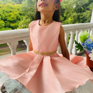 Hand-embroidered pink Taffeta Dress With Organza-Under Skirt & Long Back Skirt