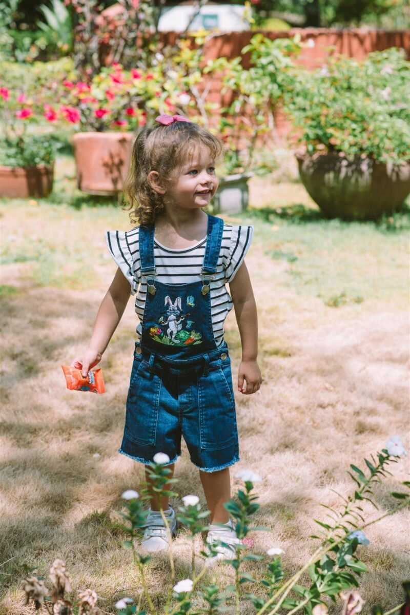 character collection featuerd image character collection featuerd image